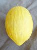 Melon jaune canari BIO sachet 3 g