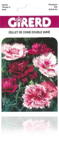 OEILLET DE CHINE double vari Pqt  25 g