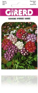 VERVEINE HYBRIDE varie Pqt  25 g
