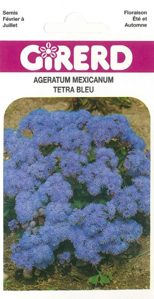 AGERATUM Tetra Blue Mink bleu vif Pqt 100 g